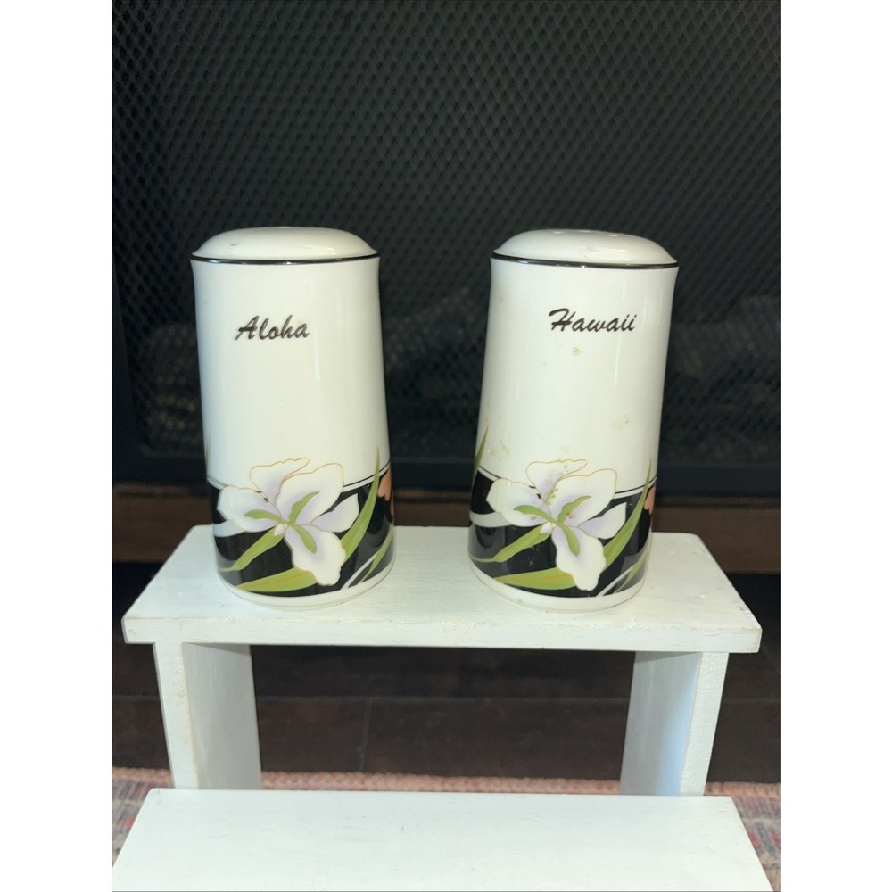 Hawaii Souvenir Porcelain Salt and Pepper Shakers